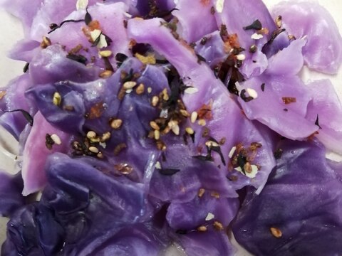 紫キャベツと白ごまの和え物